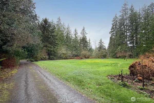 a view of a grassy field with trees
