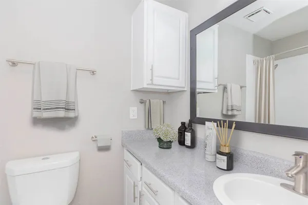 a bathroom with a sink a toilet and mirror