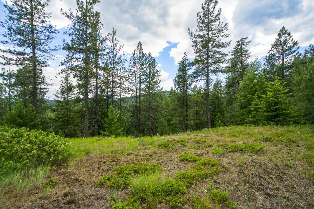 1301 Veit Road Newport, WA 99156 - Photo 24 of 33