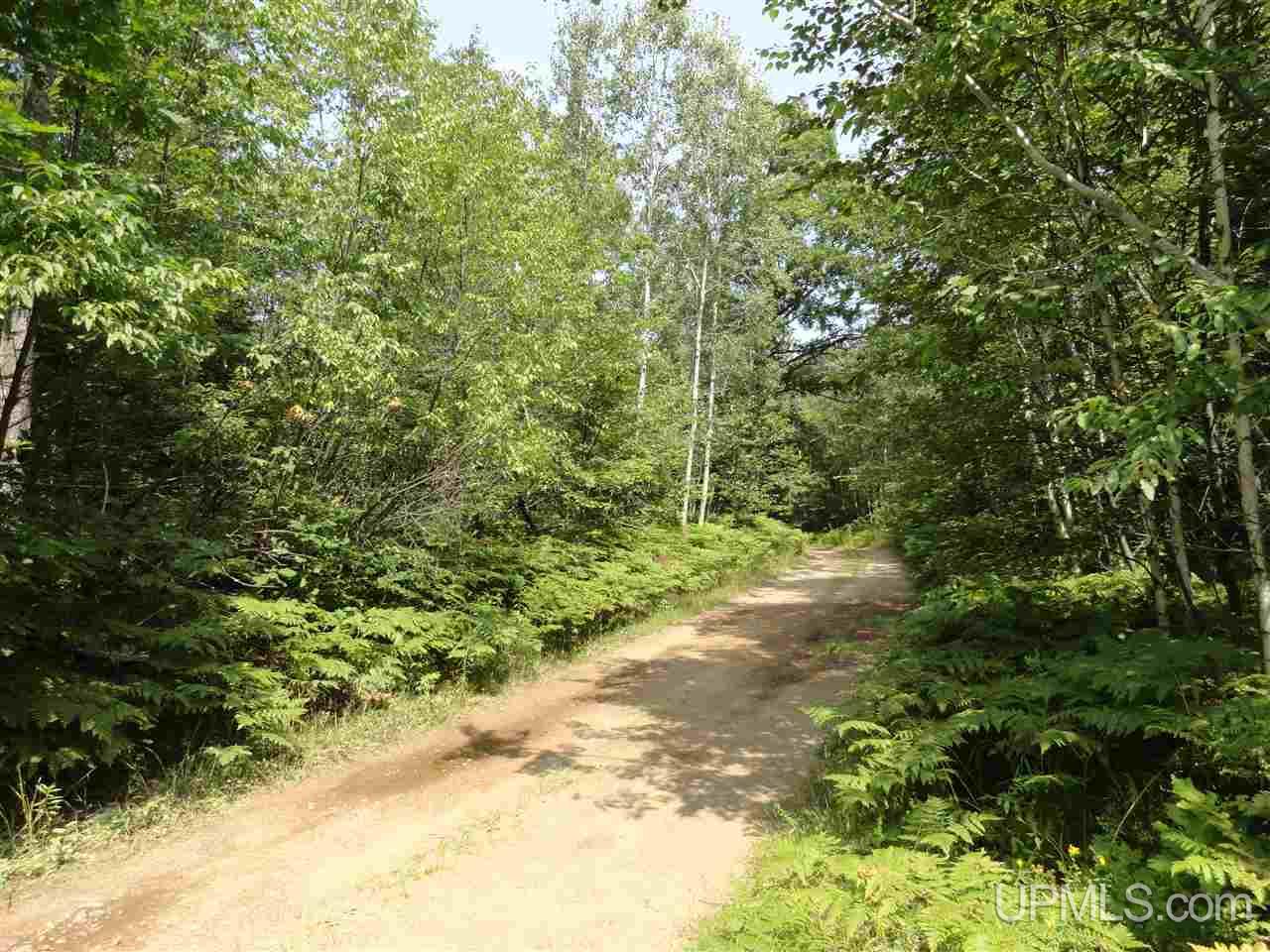 40-acres 40-acres Co Road Ishpeming, MI 49849 - Photo 21 of 36