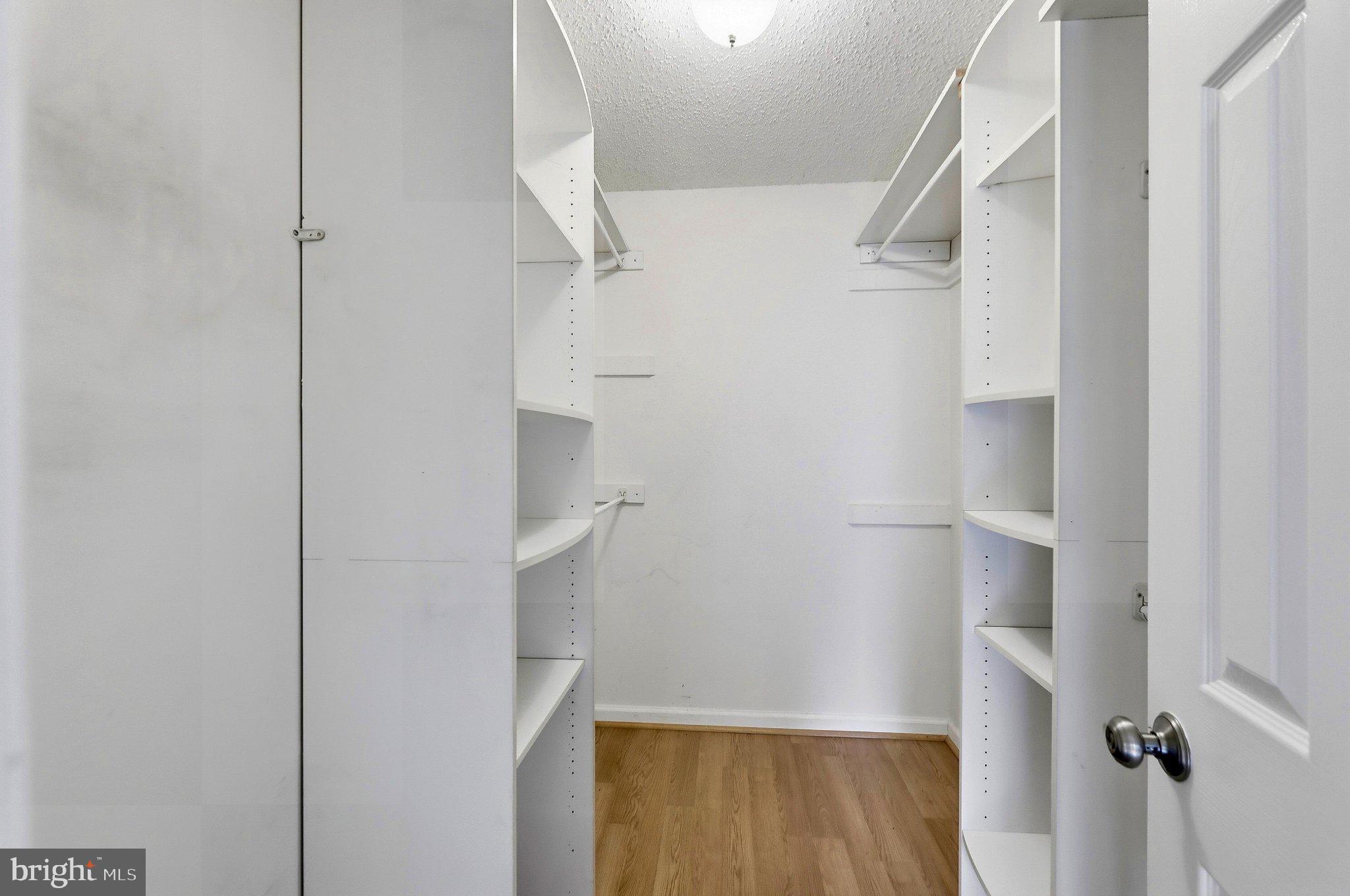 20991 Timber Ridge Terrace, Unit 203 Ashburn, VA 20147 - Photo 17 of 20 Primary Walk-In Closet