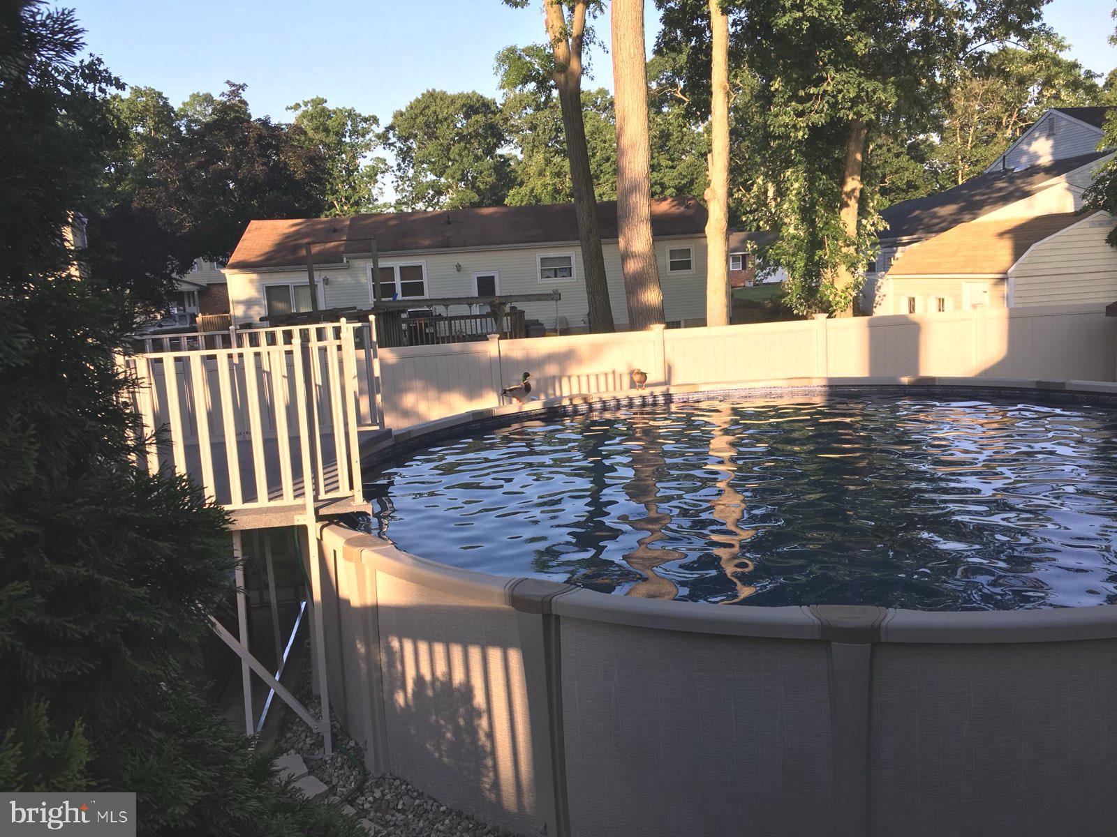 6 Palomar Road Sewell, NJ 08080 - Photo 62 of 63 Summertime pool fun