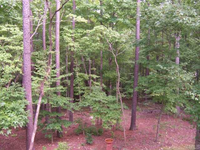 12708 Amoretto Way Raleigh, NC 27613 - Photo 12 of 12 Looking for privacy? You have it here. Look at your back yard!
