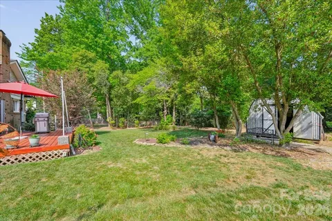 a view of a tree in a yard