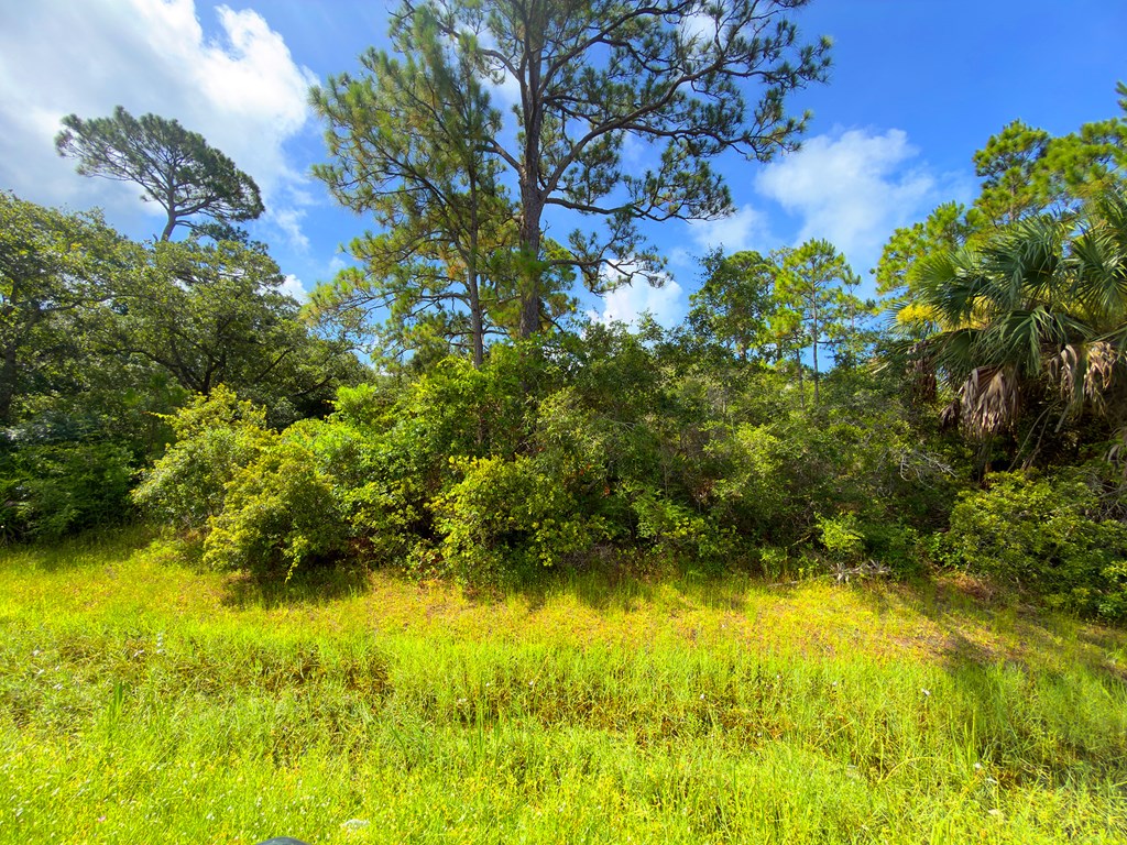 Lot 2 Cape San Blas Road Port St. Joe, FL 32456 - Photo 3 of 18