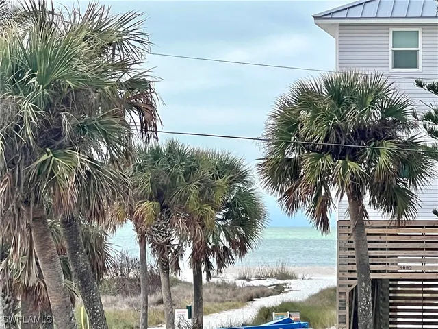 a view of outdoor space with palm trees
