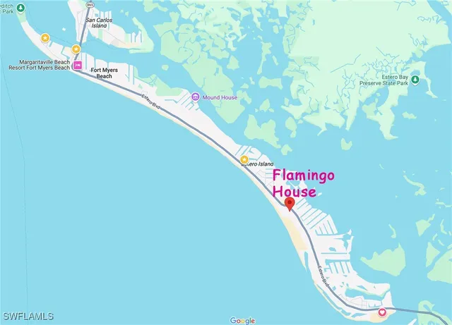 a close up of a plant