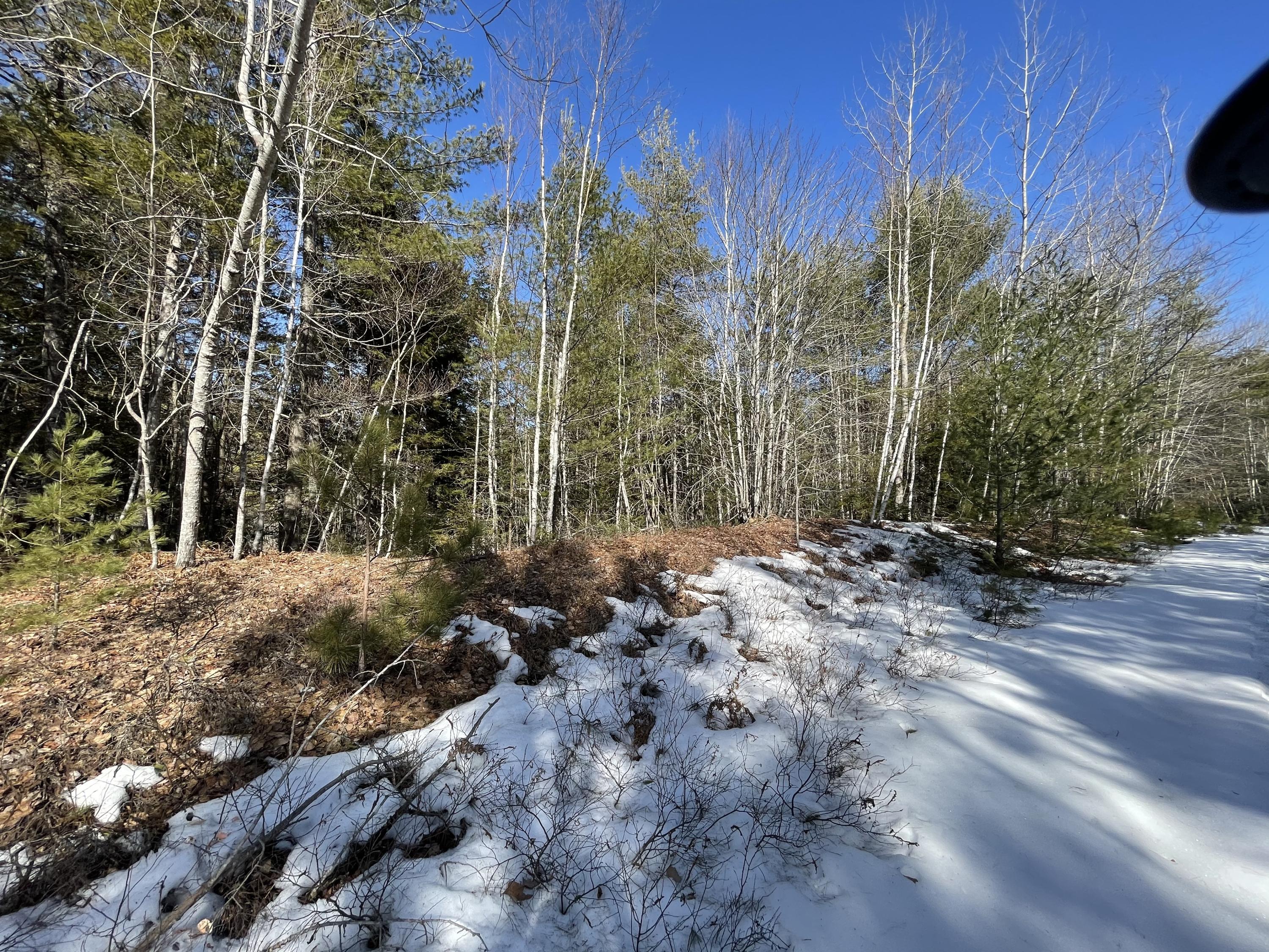 63-64 Kettle Ridge Northfield, ME 04654 - Photo 10 of 19 IMG-0810