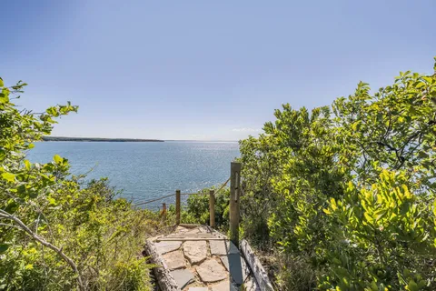 view of a bunch of flowers in front of house