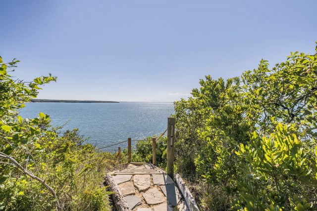 view of a bunch of flowers in front of house