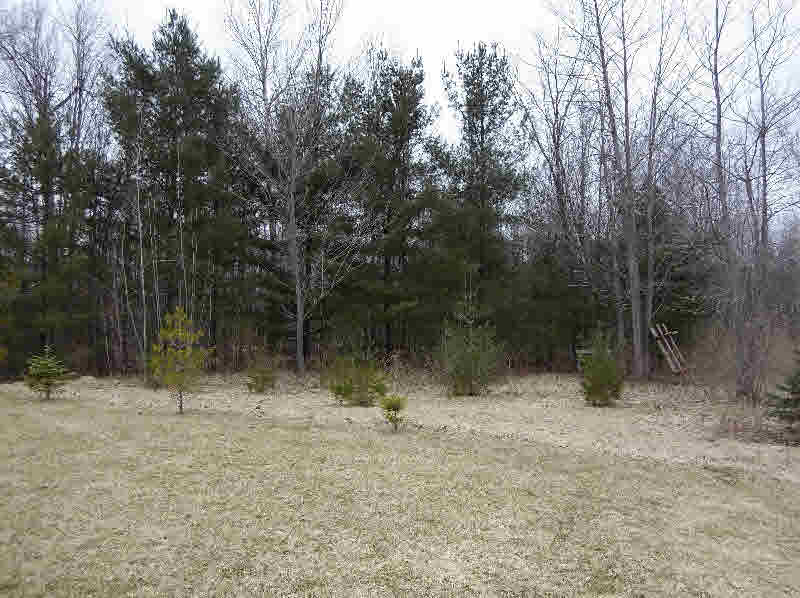 1368 West Kitchen Road Linwood, MI 48634 - Photo 18 of 18