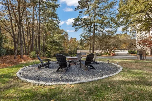 a view of a park with large trees