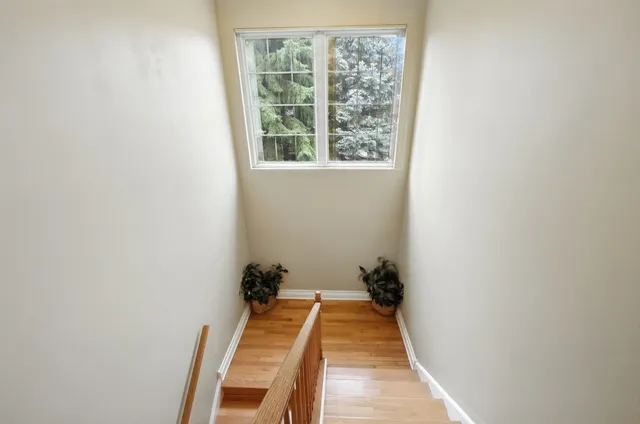 a view of a hallway with wooden floor and a carpet