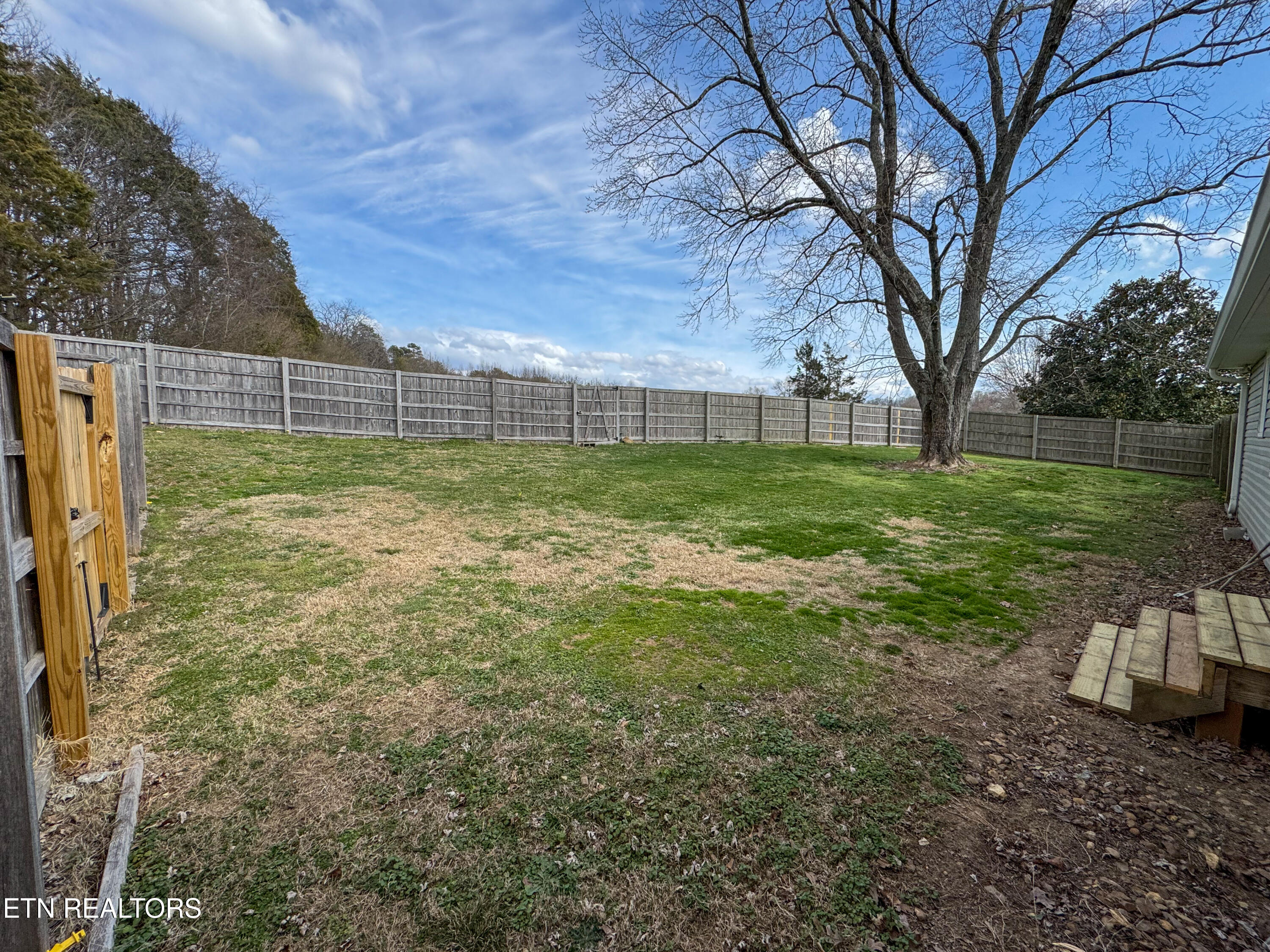 21993 Steekee Road Loudon, TN 37774 - Photo 9 of 26 IMG_0909