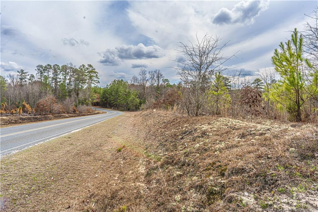 Tbd Cedar Lane Road Ellerbe, NC 28338 - Photo 11 of 14 Photo 11