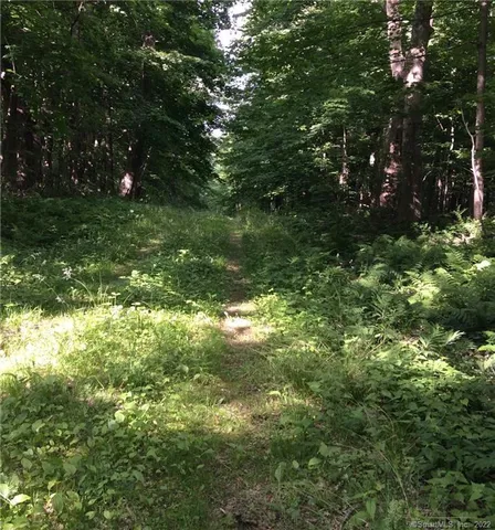 a view of a brick wall and a lake view