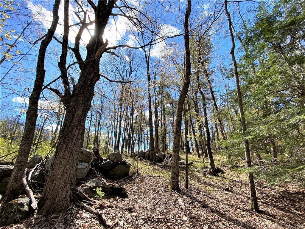 0 Greenwoods Road East Norfolk, CT 06058 - Photo 15 of 15 a view of a backyard of the house