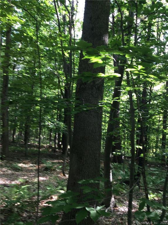 0 Greenwoods Road East Norfolk, CT 06058 - Photo 3 of 15