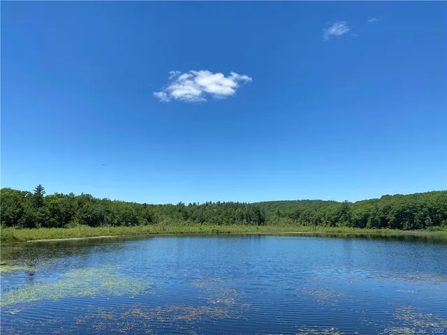 a view of a lake with a city