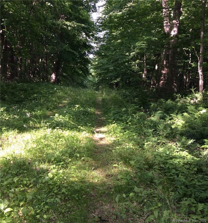 0 Greenwoods Road East Norfolk, CT 06058 - Photo 4 of 15