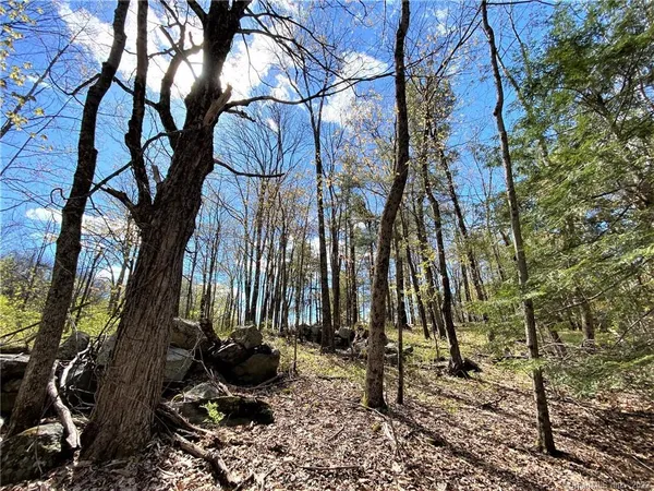 a view of a backyard of the house