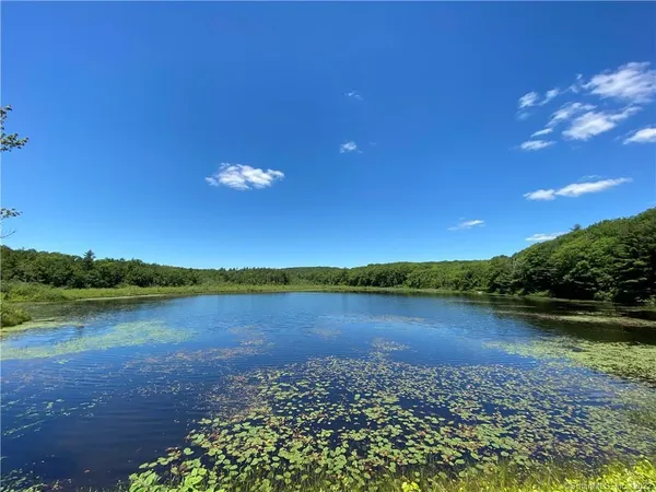 a view of a lake in middle of a forest