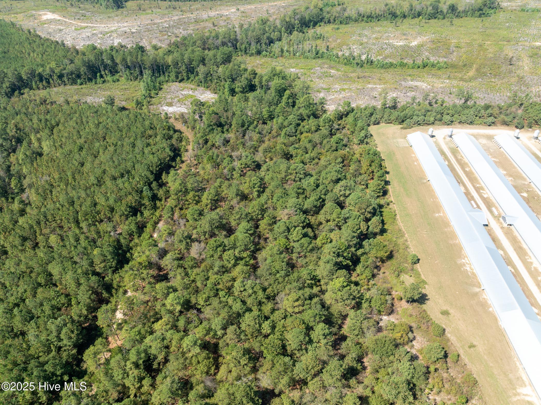 3 Green Lake Road Ellerbe, NC 28338 - Photo 10 of 18 DJI_0615
