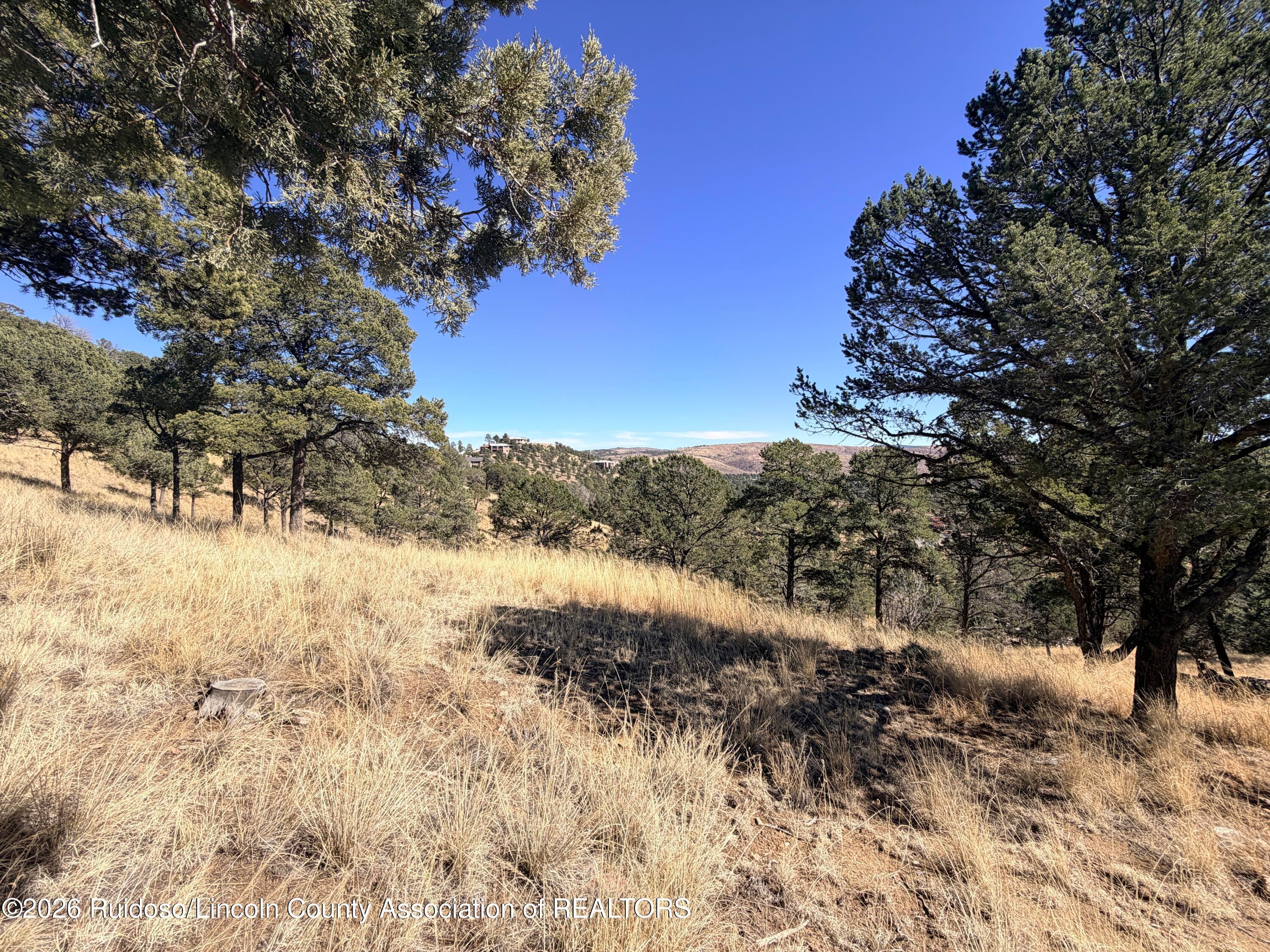 320 Valley View Drive Ruidoso, NM 88345 - Photo 1 of 1 Gallery Image 1