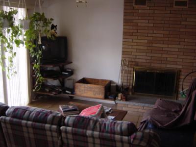 5905 Old Carriage Road Bath, PA 18014 - Photo 3 of 6 a living room with furniture and a fireplace