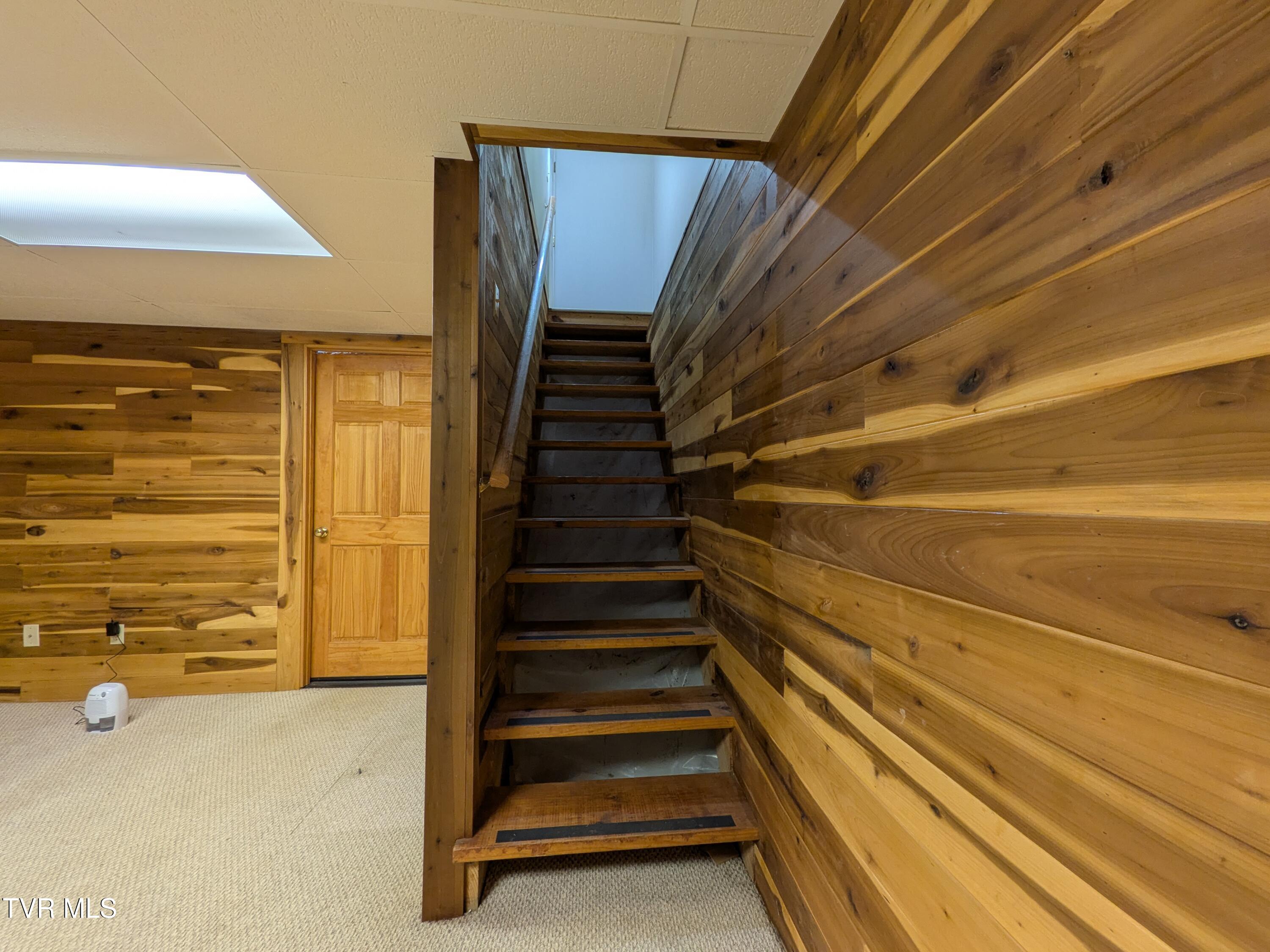 113 Nave Hollow Road Elizabethton, TN 37643 - Photo 50 of 91 Basement Stairs(1)