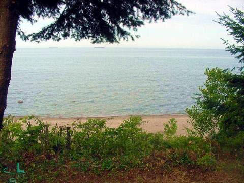 0 Parcel 3 Lakeshore Road Lexington, MI 48450 - Photo 12 of 14 911495-11.JPG