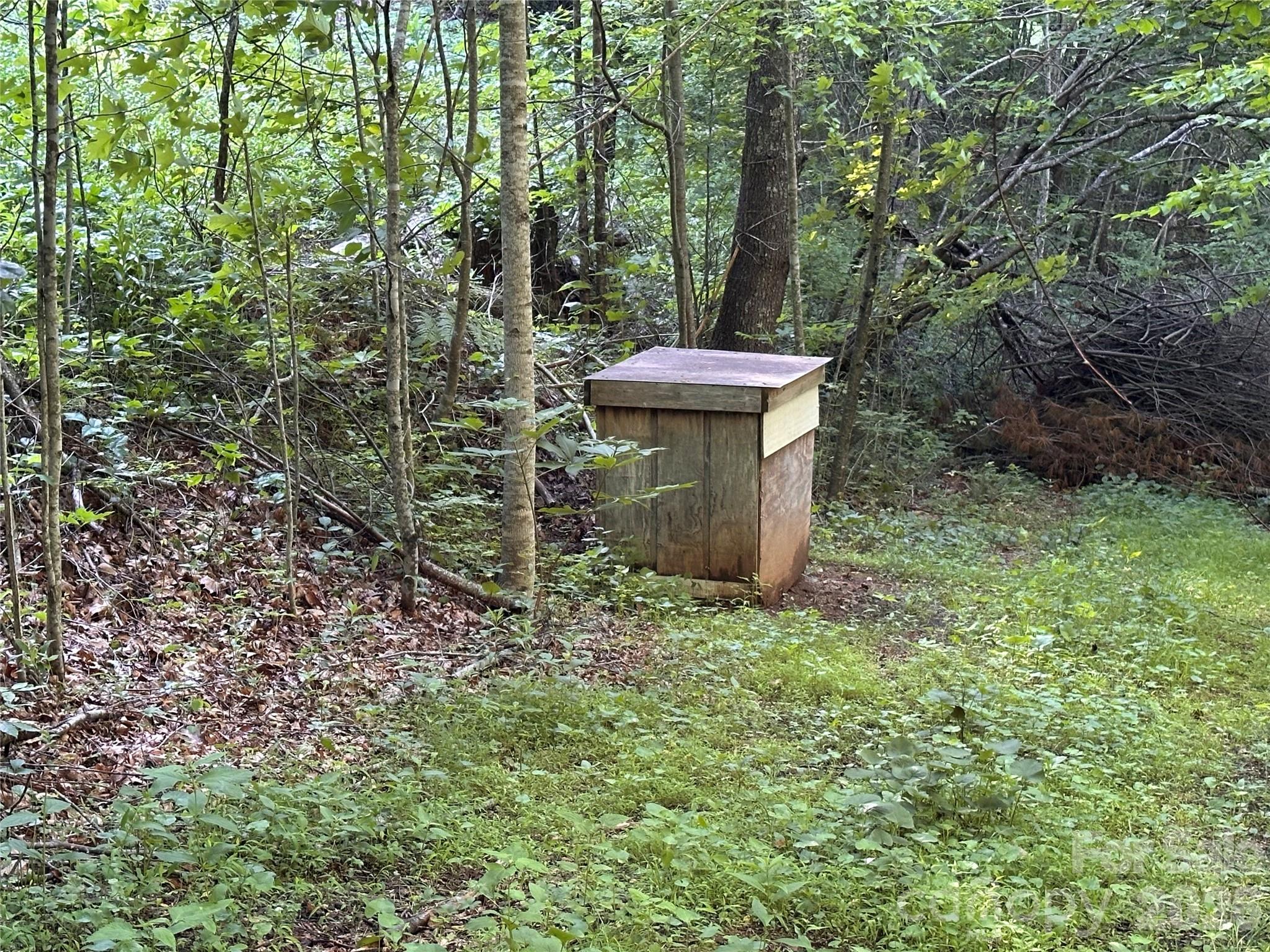 65 Blue Ridge Gem Mine Road Spruce Pine, NC 28777 - Photo 11 of 30