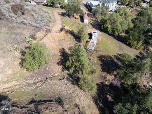 a view of a forest with trees in the background