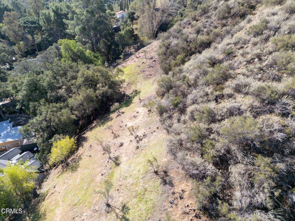 5946 Oak Knolls Road Simi Valley, CA 93063 - Photo 13 of 18 a view of a forest with trees in the background