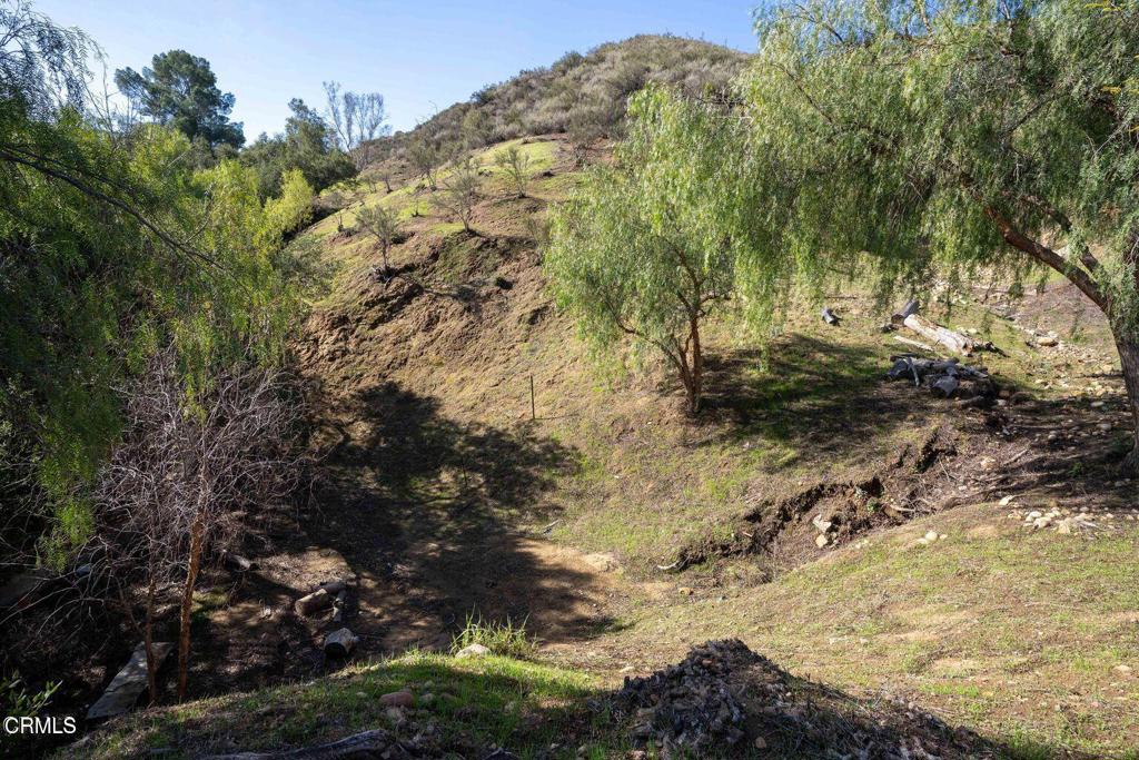 5946 Oak Knolls Road Simi Valley, CA 93063 - Photo 15 of 18 a view of a yard with plants and trees
