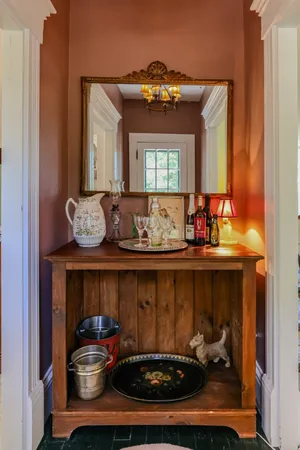 a potted plant sitting in front of a house