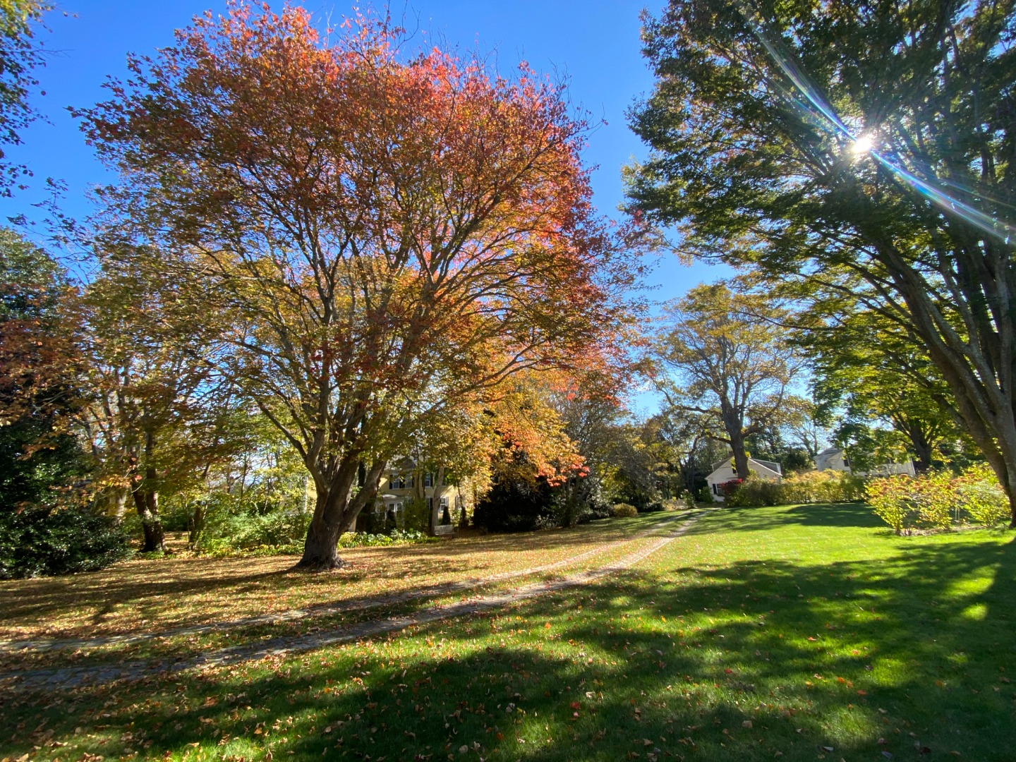 70 Spring Street Vineyard Haven, MA 02568 - Photo 66 of 67