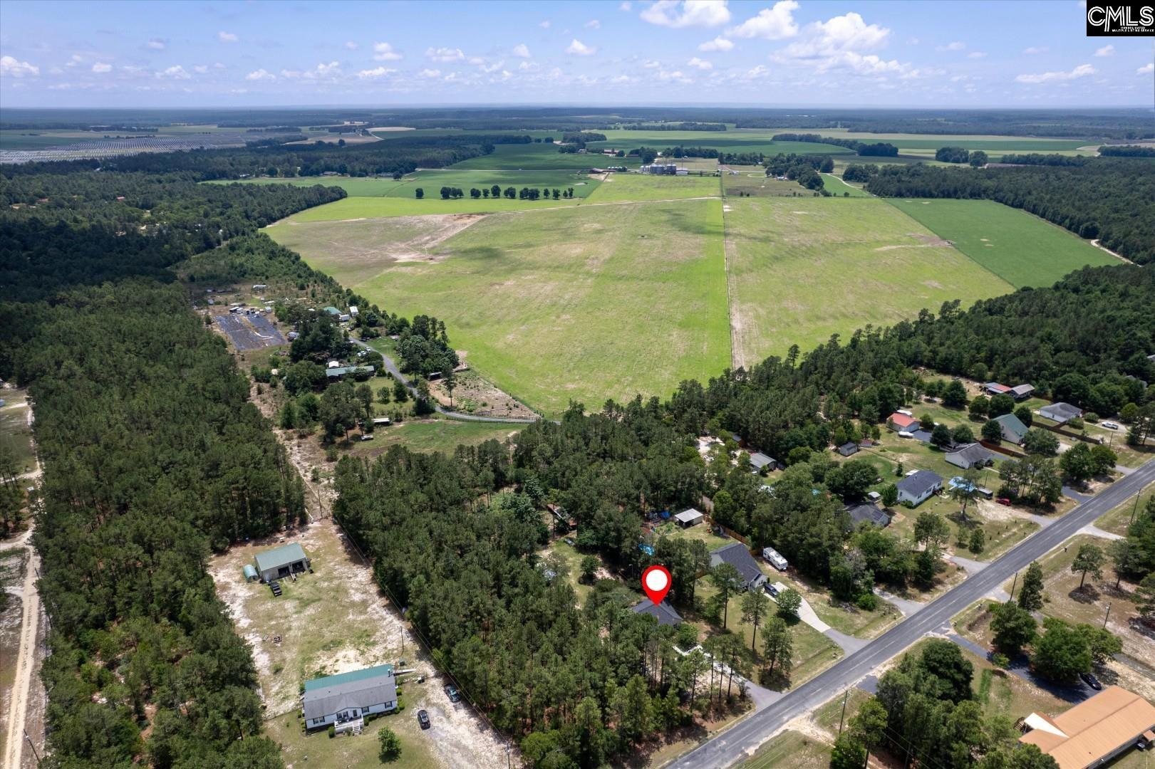 881 Bushberry Road Pelion, SC 29123 - Photo 33 of 36
