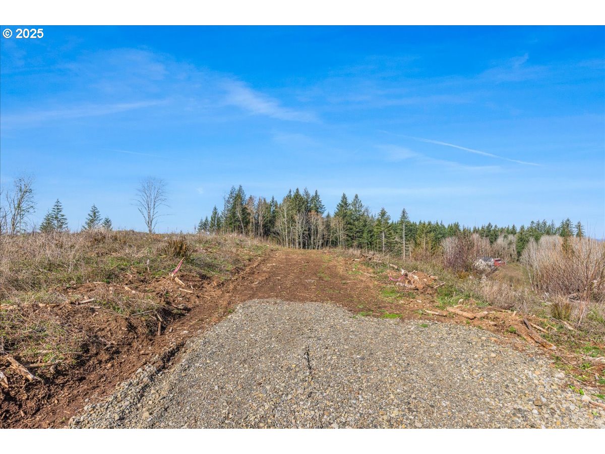 0 Southeast Herrick Road Sandy, OR 97055 - Photo 10 of 35 Gallery Image 10