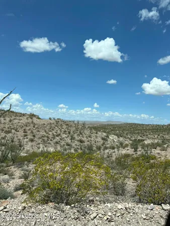 $4,600 | 25-31 Sec 65 Block 2 T&p Presidio County, Valentine, TX 79854
