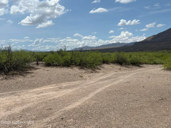 $4,600 | 25-31 Sec 65 Block 2 T&p Presidio County, Valentine, TX 79854