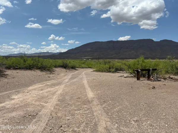 $4,600 | 25-31 Sec 65 Block 2 T&p Presidio County, Valentine, TX 79854