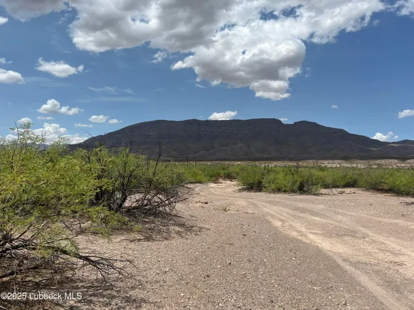 $4,600 | 25-31 Sec 65 Block 2 T&p Presidio County, Valentine, TX 79854