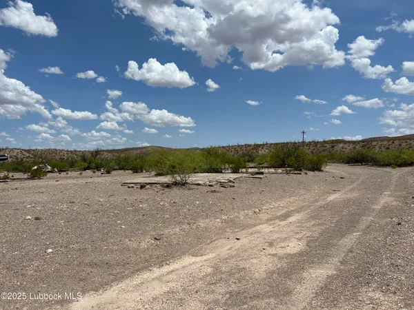 $4,600 | 25-31 Sec 65 Block 2 T&p Presidio County, Valentine, TX 79854