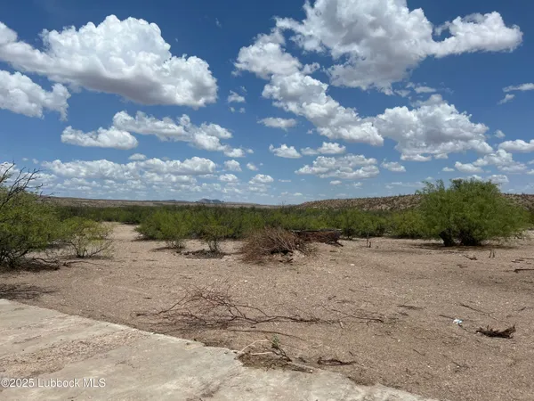 $4,600 | 25-31 Sec 65 Block 2 T&p Presidio County, Valentine, TX 79854