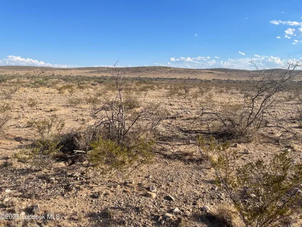 $4,600 | 25-31 Sec 65 Block 2 T&p Presidio County, Valentine, TX 79854