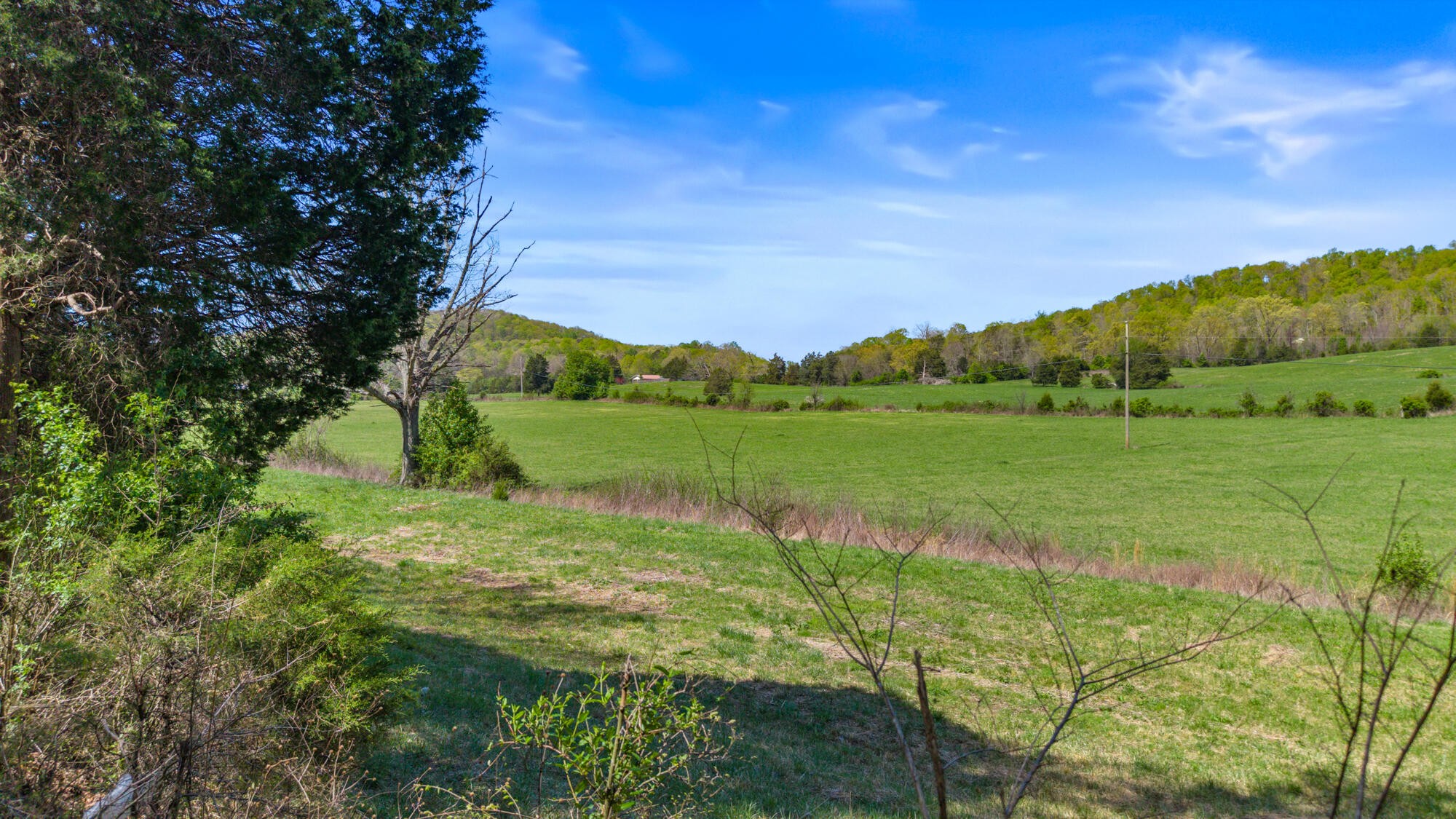 0 Dogtown Road Ten Mile, TN 37880 - Photo 9 of 9