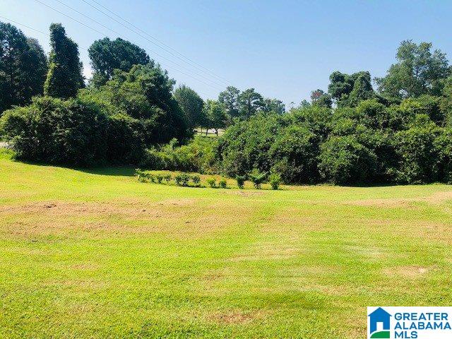 2526 County Road 831 Logan, AL 35098 - Photo 33 of 36