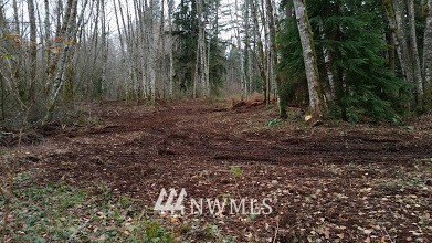 0 Parson Creek Road Sedro-Woolley, WA 98284 - Photo 14 of 20 Gallery Image 14
