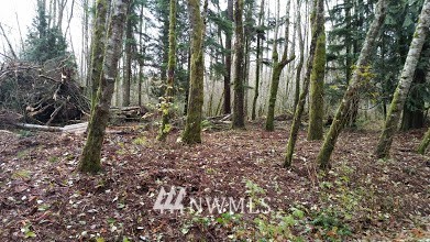 0 Parson Creek Road Sedro-Woolley, WA 98284 - Photo 6 of 20 Gallery Image 6
